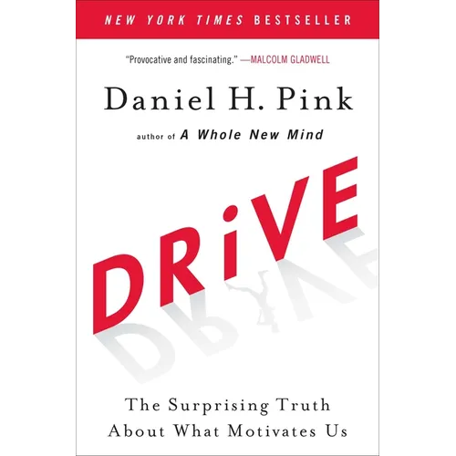 Drive: The Surprising Truth about What Motivates Us