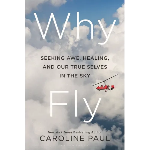 Why Fly: Seeking Awe, Healing, and Our True Selves in the Sky