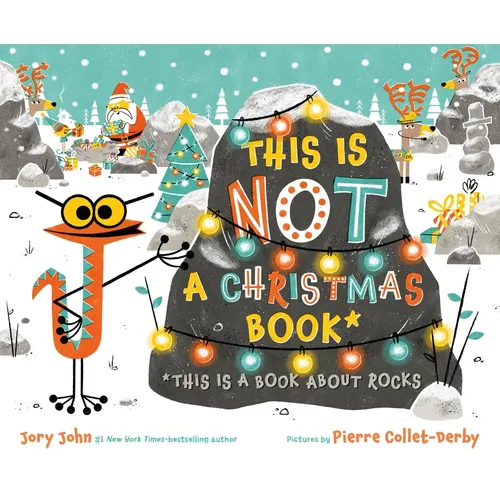 This Is Not a Christmas Book* (*This Is a Book about Rocks)