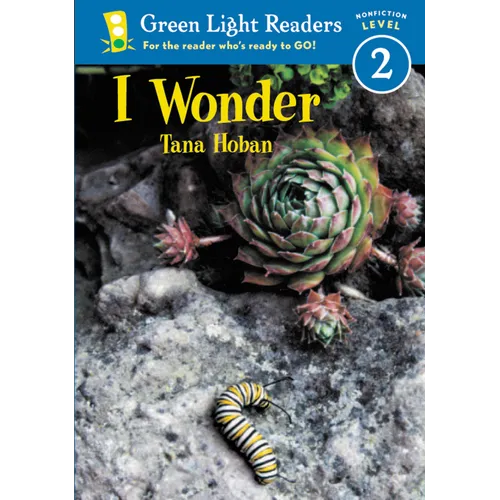 I Wonder