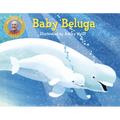 Baby Beluga