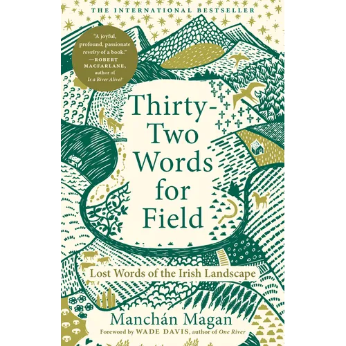 Thirty-Two Words for Field: Lost Words of the Irish Landscape