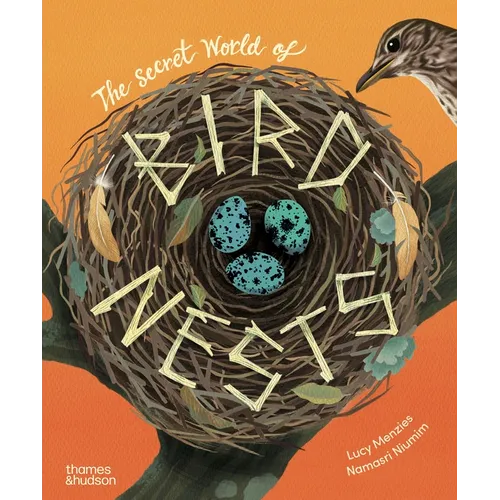 The Secret World of Bird Nests