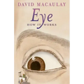 Eye: How It Works