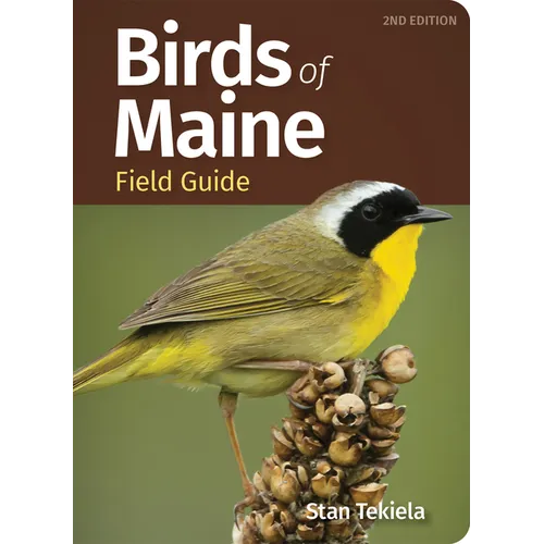 Birds of Maine Field Guide