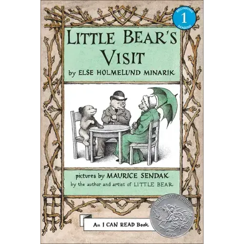 Little Bear's Visit