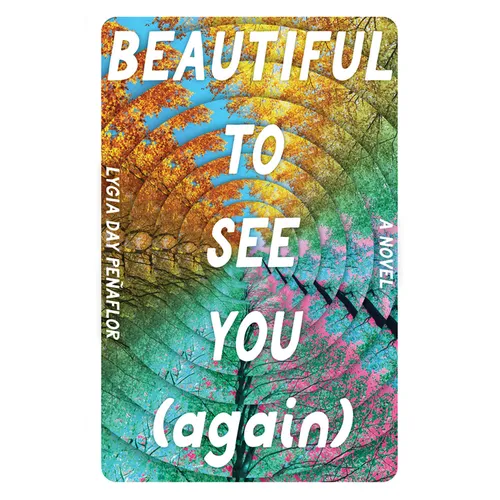 Beautiful to See You (Again)