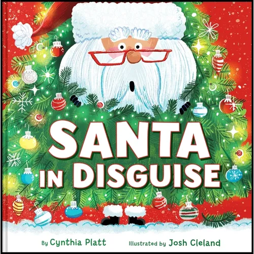 Santa in Disguise