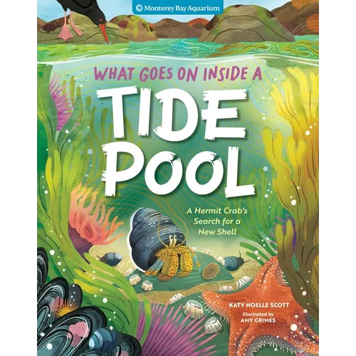 What Goes on Inside a Tide Pool: A Hermit Crab's Search for a New Home